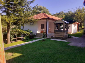 Apartman Predah Banja Vrujci